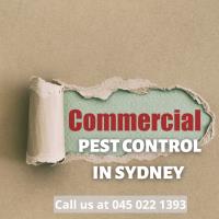 B2B Pest Control image 4